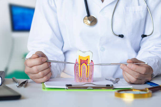 Best Emergency Treatment for Dental Infections or Abscesses in Jekyll Island, GA